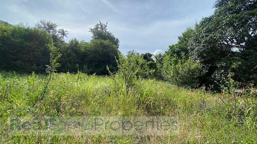 Lamai Garden View Land Plots, 1,600 sqm x 2